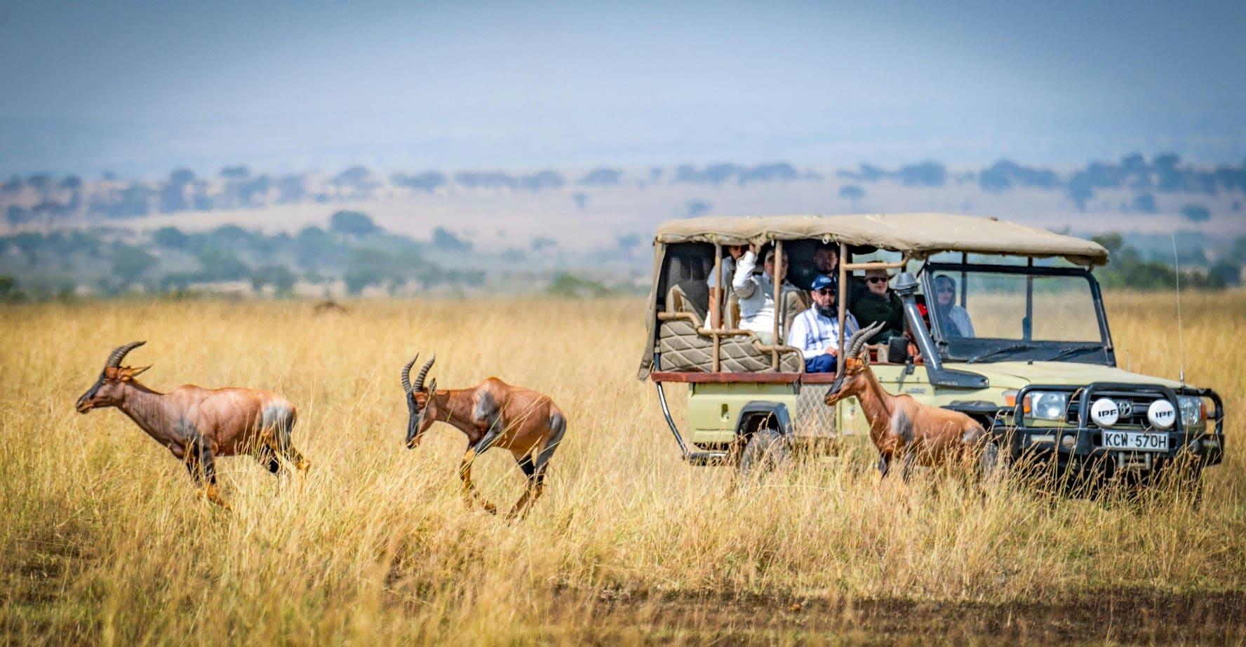Serengeti